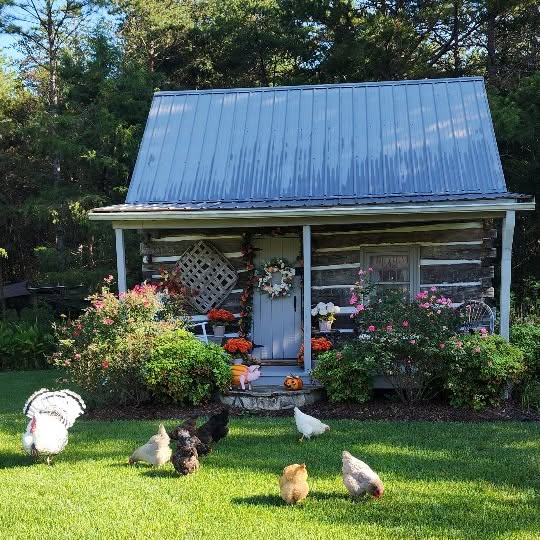 Post by happydaysfarm