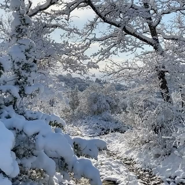 Post by _sarahfalconer_