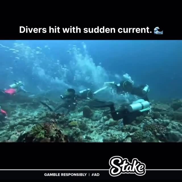 Post by spacecameocommunity