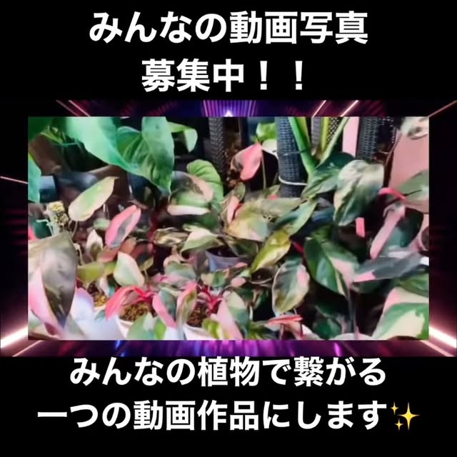 Post by garden_en2022