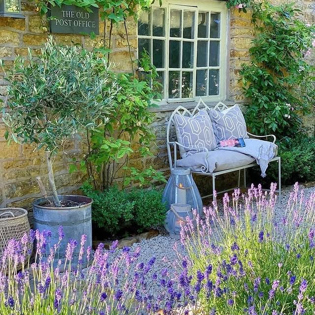 Post by thegardeningspirit