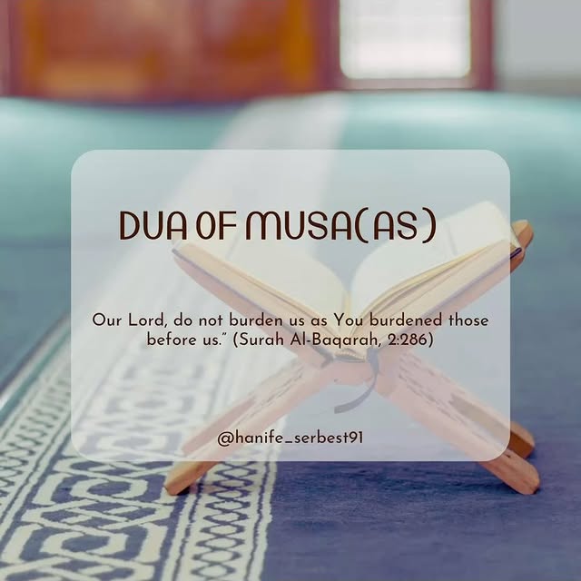 Post by hanife_serbest91