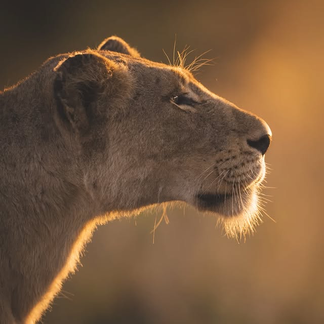 Post by huntingforparadise