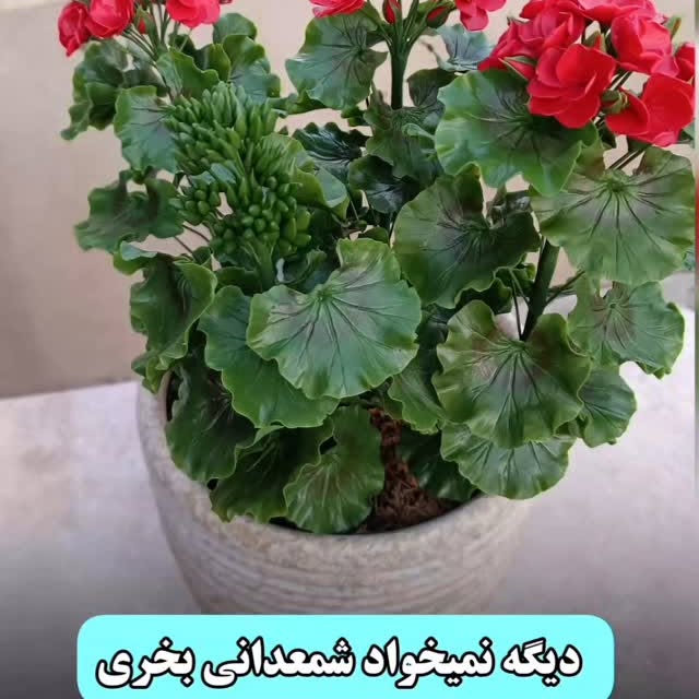 Post by honarkadeh.peony