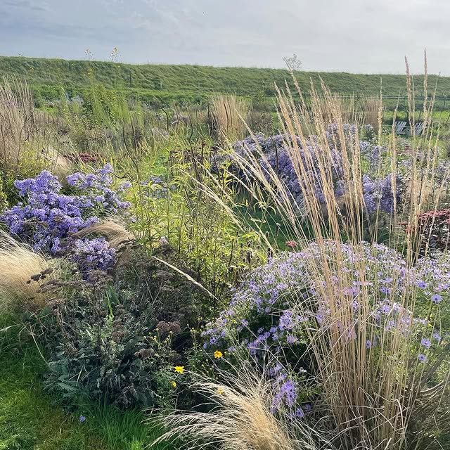 Post by studiolindalavoir