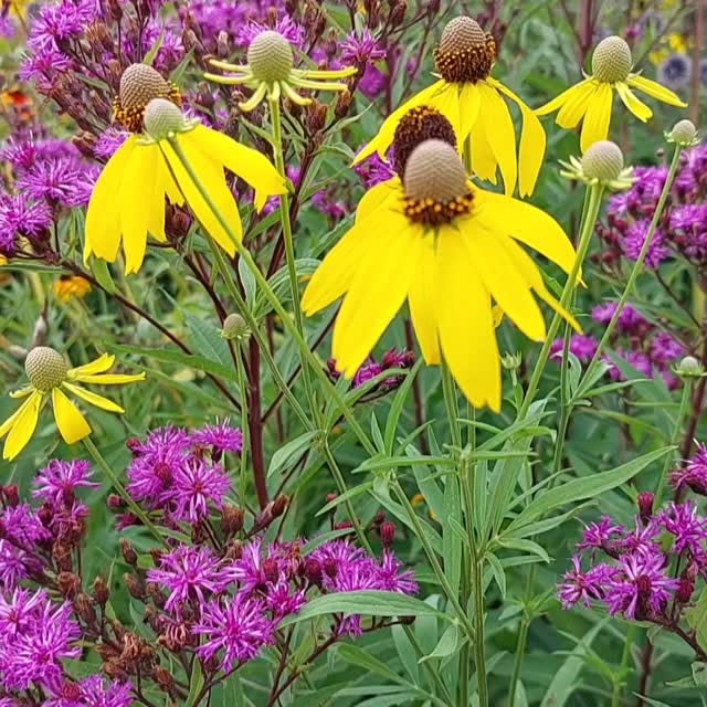 Post by jelle_grintjes