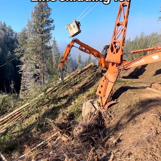 Post by rupps_timber