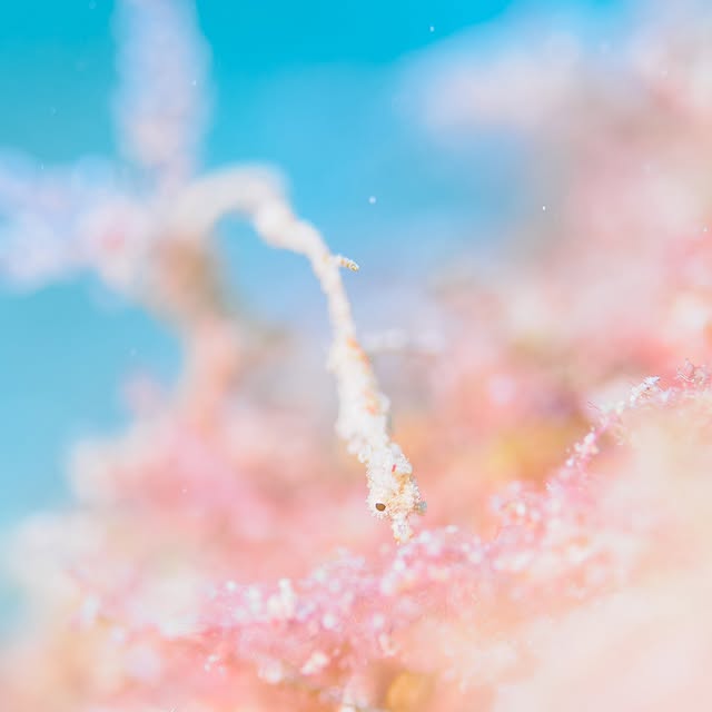 Post by hideyukihongo