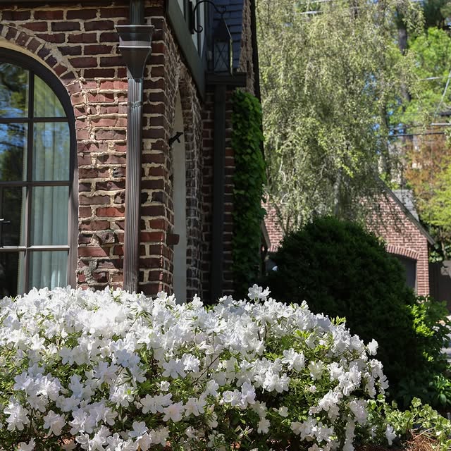 Post by millhousehowell_landscape.co