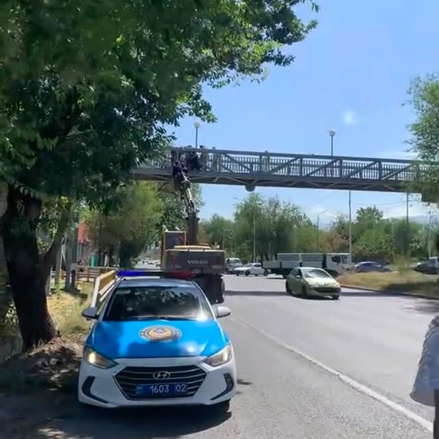 Post by krispi.almaty