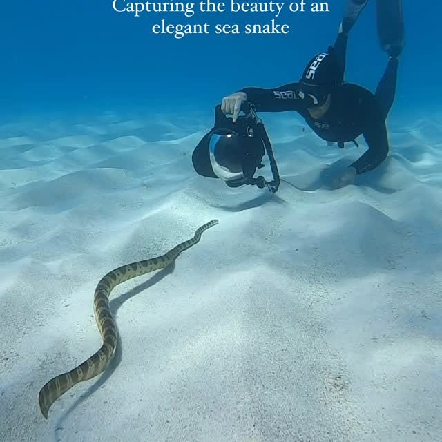 Post by alexkyddphoto