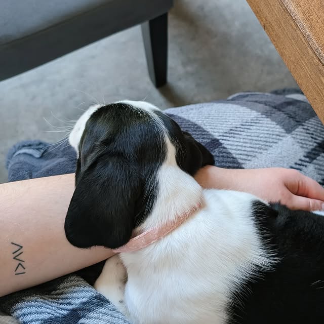 Post by gabs.d1agram