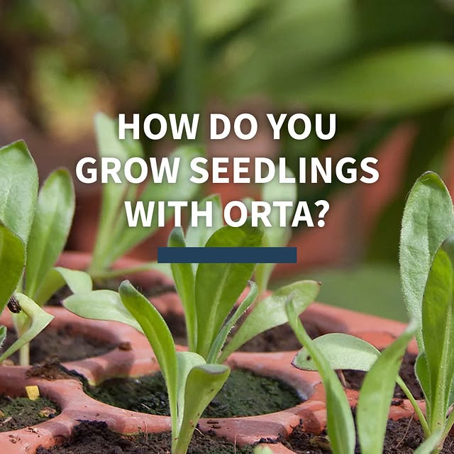 Post by geturbanleaf