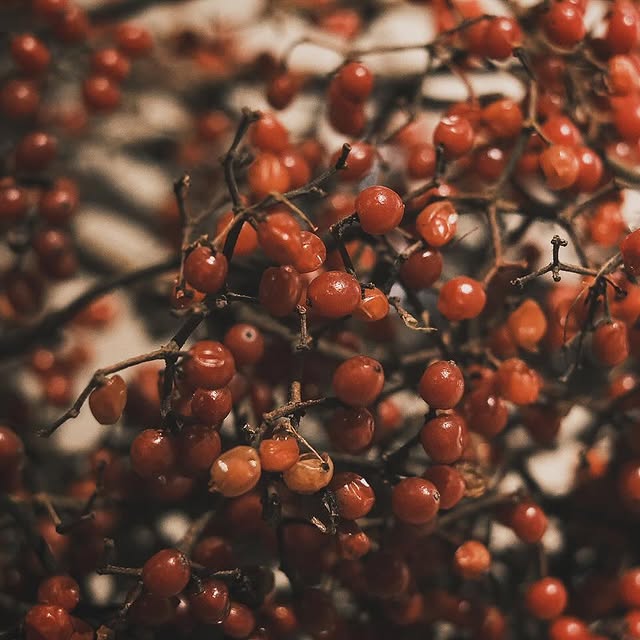 Post by keisuke_y.a.g.i