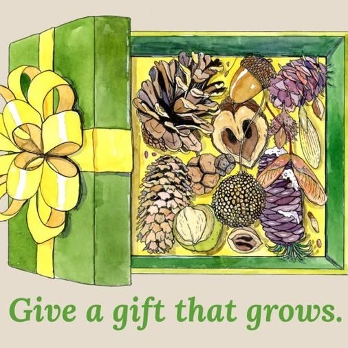 Post by americanforesters