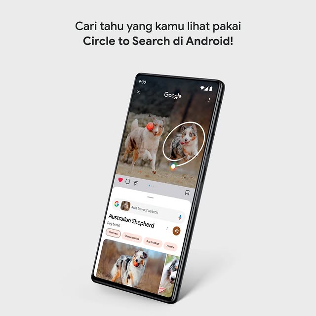 Post by erafonestores