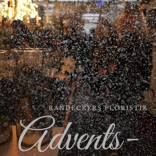 Post by randeckersfloristik