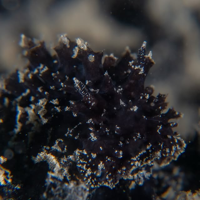 Post by michaels_bubbles