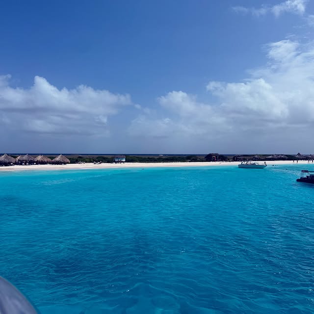 Post by giannikjansen