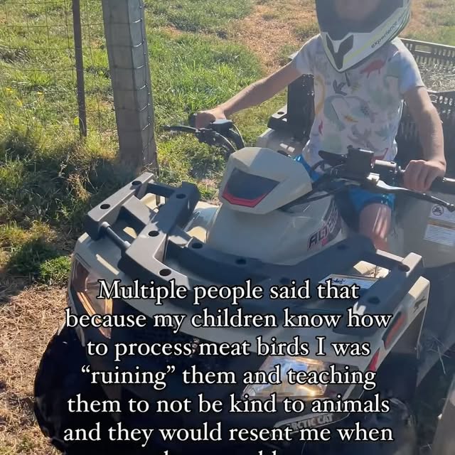 Post by portageviewfarm