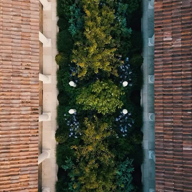 Post by edenrowegardens