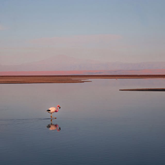 Post by coxandkings_uk