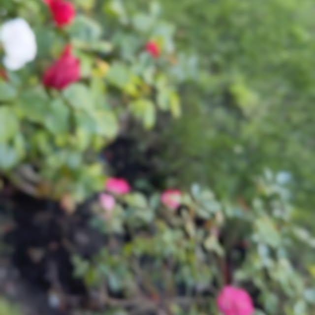 Post by taufferdeisi