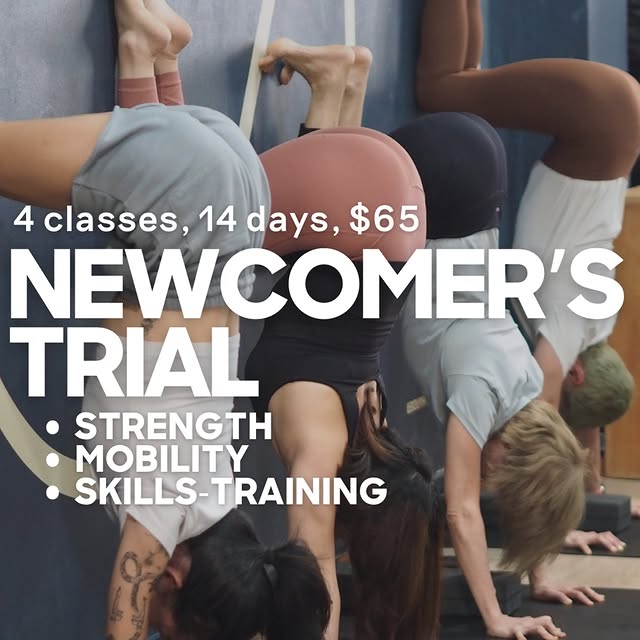 Post by mushinmovement