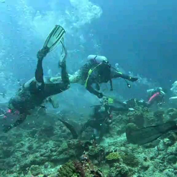 Post by scuba_diving_iglover