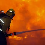 310FIRE Photography's profile picture