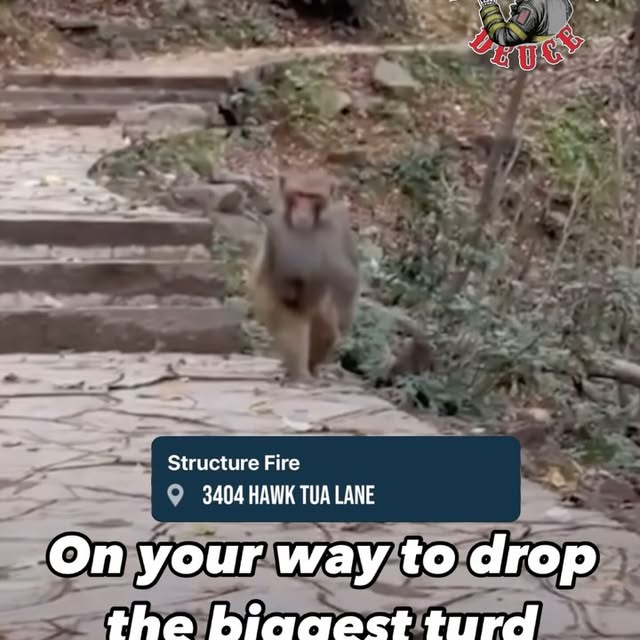 Post by thedirtydeuce