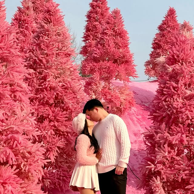 Post by ivonehendarta