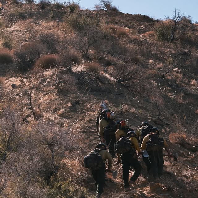 Post by firesciencenutrition