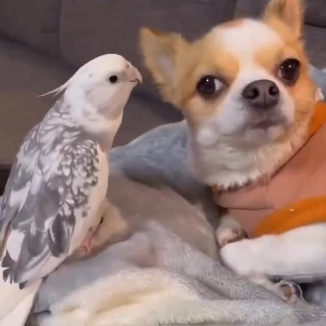 Post by tsbrenterprises