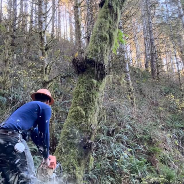 Post by coast_cutter