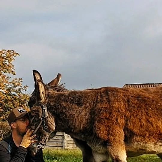 Post by 5000dennis_nature