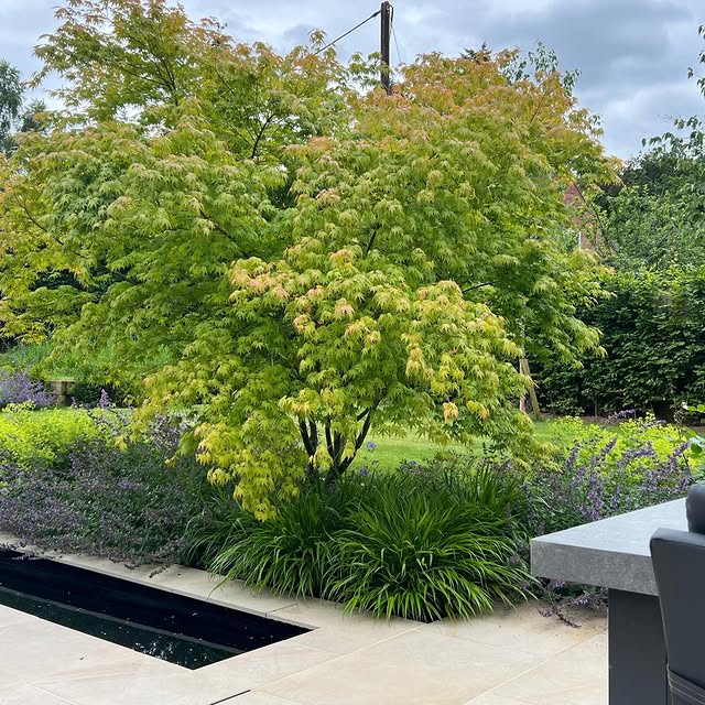 Post by rainegardendesign