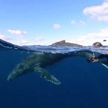 Post by mattysmithphoto