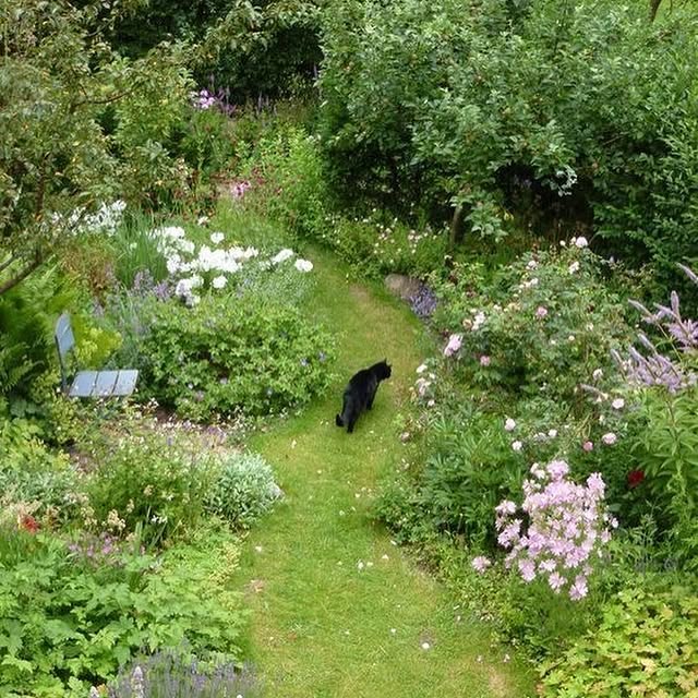 Post by thegardeningspirit