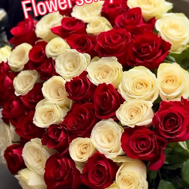 Post by flowersonly4you