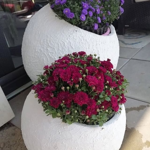 Post by my_flower_blog