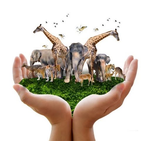 Post by hungryplanetfoods