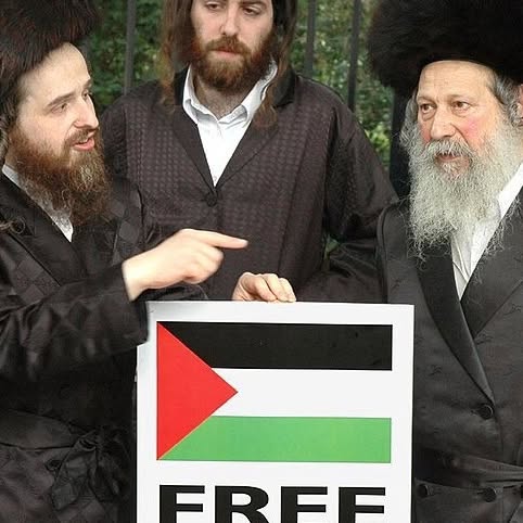 Post by iamshahinmalek