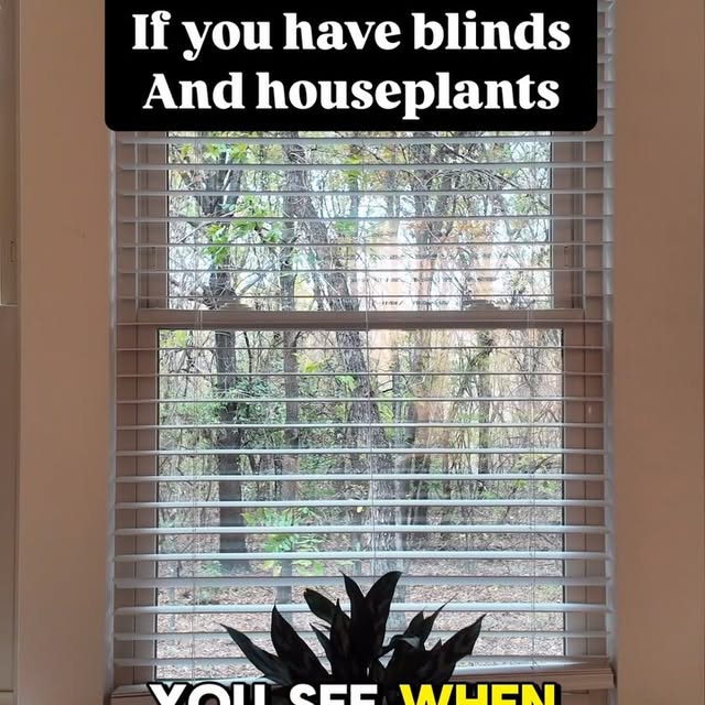 Post by tannertheplanter