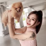 Yiik Mei's profile picture