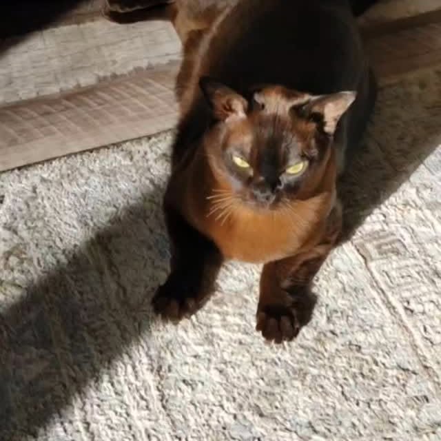 Post by territoryofflowers