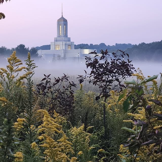 Post by dieterfuchtdorf