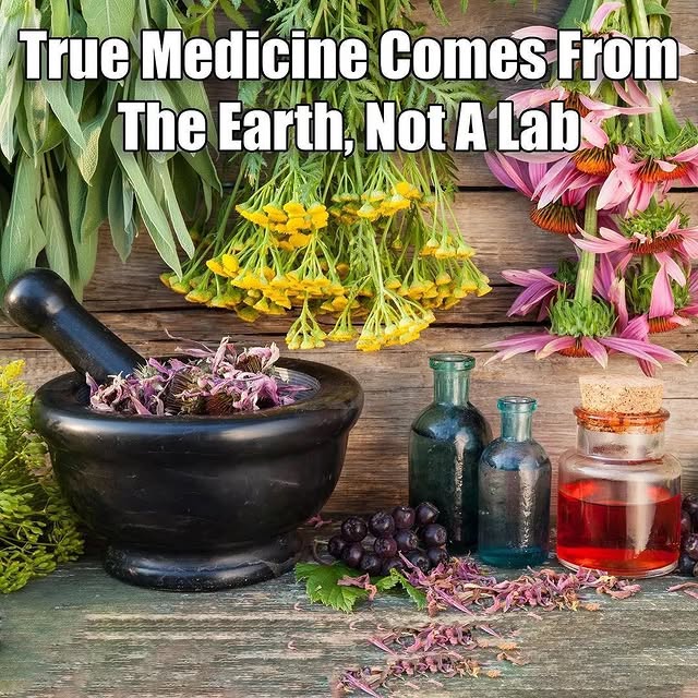 Post by plantsintoherbs