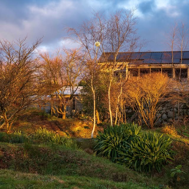 Post by wildsidegarden