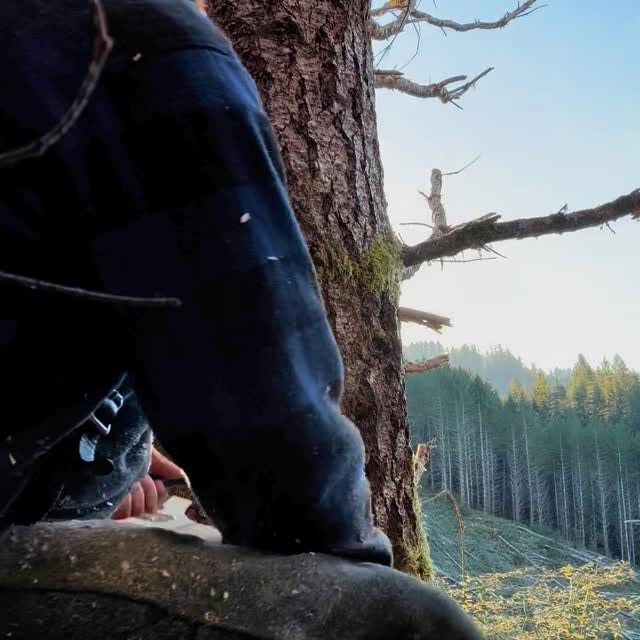 Post by coast_cutter